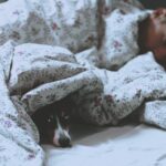 “Schlafqualität verbessern: Expertentipps für eine erholsame Nacht”